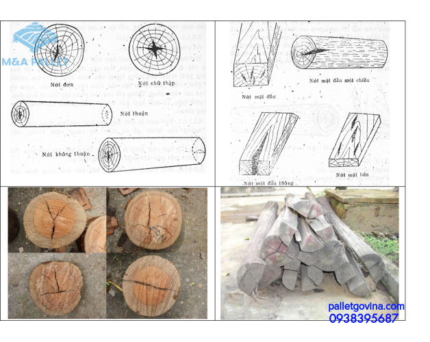 Baiviet27.2.1